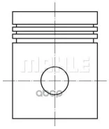 ������� dm.79.00x1.2x1.2x2.0 +0.50 ���� �� 1 ��. Mahle/Knecht ���. 0122103 0122103 ����