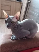 ������� ������. ����