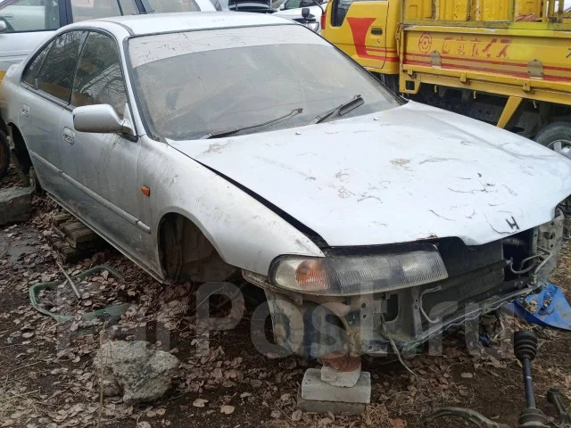 Honda Ascot Innova. CB3, F20A ����