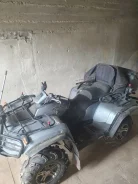 Arctic Cat. ��������, ��, �� ����