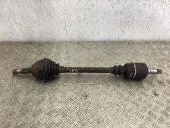 ������� �������� ����� (��������� ���, ����) Fiat 1495537080 1495537080 ����