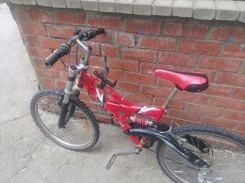 XDS ����