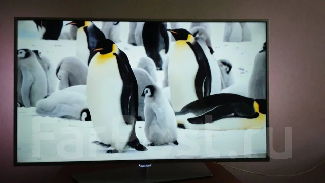 Philips. LCD (��) ����