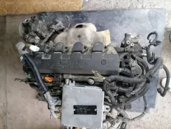 Honda Edix ����