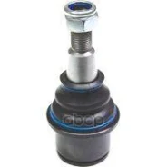 ������� ����� Birth ���. CX0182 CX0182 ����