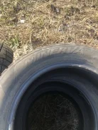 Minerva Eco Stud SUV. ������, ����������, �/�, ����� 30 % ����