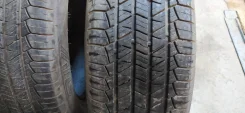 Tigar. ������, 2019 ���, �/�, ����� 10 % ����