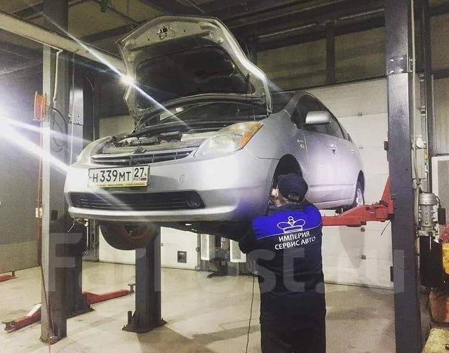 �����������-�����������. �� ��������� �.�. ����� ������� 110� ����