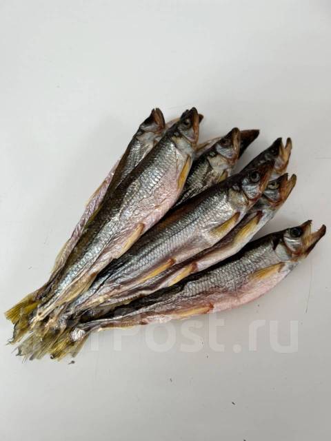 Корюшка вяленая, в наличии. Цена: 1 500₽ в Хабаровске