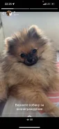 ���������� ������/����������� ����. ����