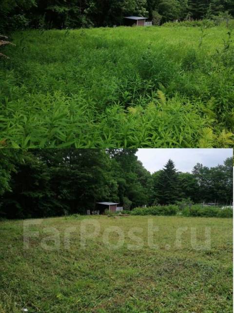 Покосить траву, кустарник на участке. Спилить/распилить дерево, Мульчер ...