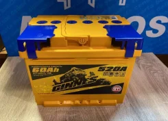 Ginnes. 60��.�., �������� (�����), ������������ ����� ����
