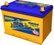 Ginnes. 100��.�., ��������, ������������ ����� ����