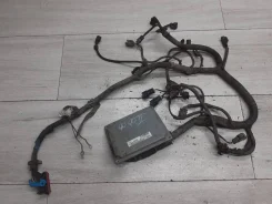 ���� ���������� ���������� 1.6 Focus 2 / C-Max ����