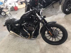 Harley-Davidson Sportster Iron 883 XL883N. ��������, ���, ��� ������� ����