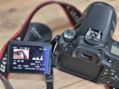 Canon EOS 60D. ���: 14� � ����� ����