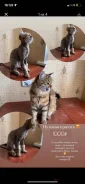 �������. ����