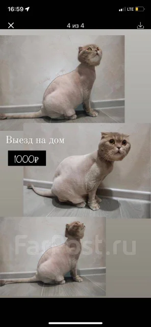 �������. ����