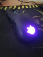 ���� �������. ����