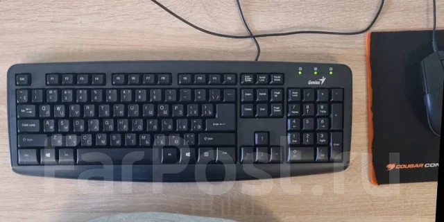 ����������. ����