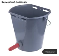 ����� ��� �������. ����