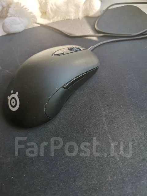 ���� �������. ����