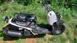 Honda Zoomer. 49����. ��., ��������, ��� ���, ������ �� �� ����
