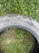 Riken AllStar Stud. ������, ����������, 2016 ���, �/�, ����� 30 % ����