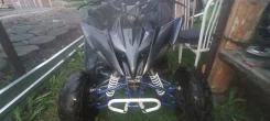 Mikilon Rapide 200 EFI. ��������, ��� ���\���, � �������� ����