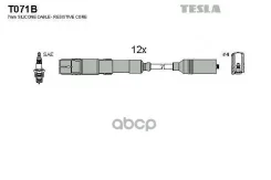 ������� ��������� Mercedes C-class W202, W203, E-Class W210, W211 2.4-2.8-3.2 Tesla ���. T071B T071B ����