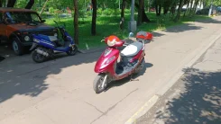 Honling. 49����. ��., ��������, ��� ���, � �������� ����