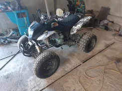 Bashan. ��������, � �������� ����