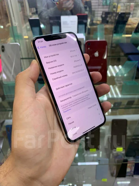 Apple iPhone X. �/�, 256 �� ����