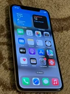 Apple iPhone X. �/�, 256 ��, ����� ����