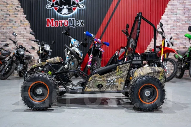 Motoland Gokart 100. ��������, ��� ���\���, ��� ������� ����