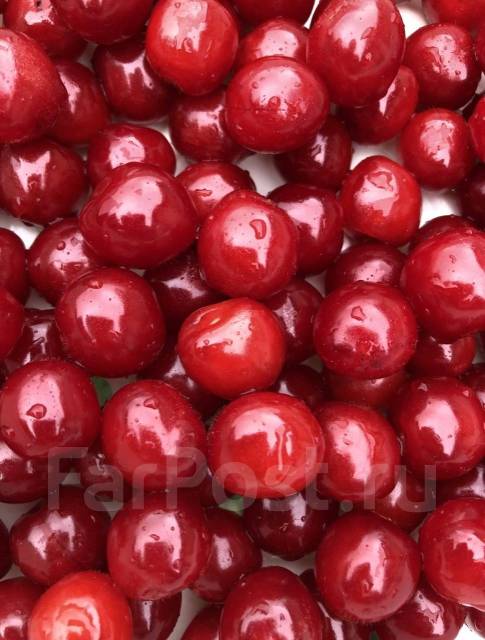 Саженцы японской вишни, новый, в наличии. Цена: 150₽ в Артеме