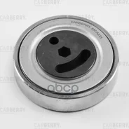 ����� ���������� ��������. ����� Carberry ���. 55CA235 55CA235 ����