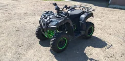 Motax ATV Grizlik 200. ��������, ��� ���\���, � �������� ����