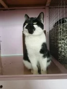 �����. ����