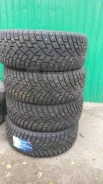 Zeta Antarctica Sport. ������, ����������, 2020 ���, �/�, ����� 30 % ����