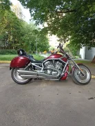 Harley-Davidson V-Rod. 1 200����. ��., ��������, ���������, ������ �� �� ����