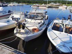 Yamaha Fish 22. ����� 6,7��., ��������� ������������, 80��.�., ������ ����
