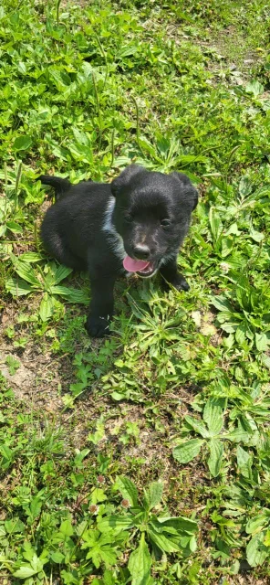 ������ �����. ����