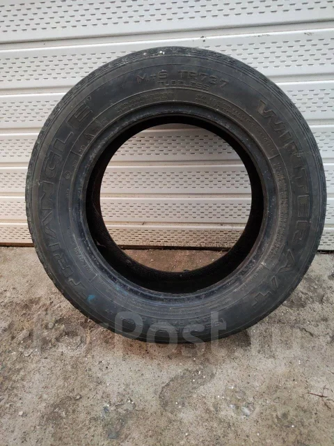 Triangle TR737. ������, ��� �����, �/�, ����� 30 % ����