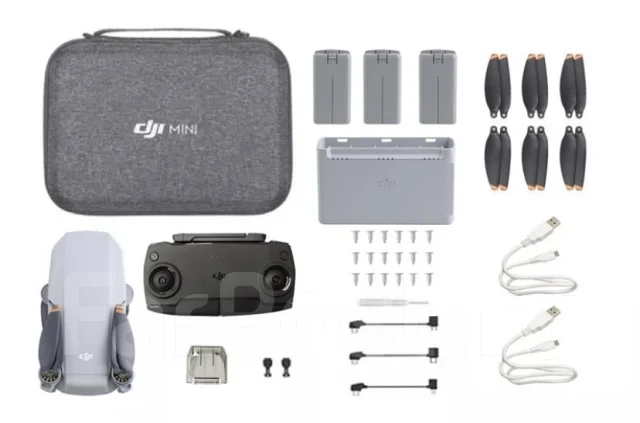 DJI Mini SE. � ������� ����