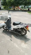 Honda Topic. ��������, ���������, ������ �� �� ����