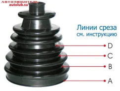 ������� ����� ������������� 2 ������ � ������ Trialli FG6516 ����