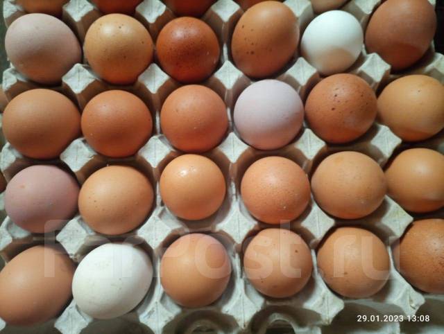Продам яйцо куриное домашнее, в наличии. Цена: 500₽ в Уссурийске