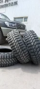 Lakesea Crocodile. ����� mt, 2016 ���, �/�, ����� 30 % ����