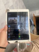 Apple iPad Air 2. 9.7 ������, ������ 16 �� ����